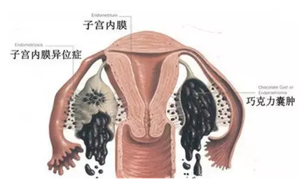 重慶送子鳥醫(yī)院