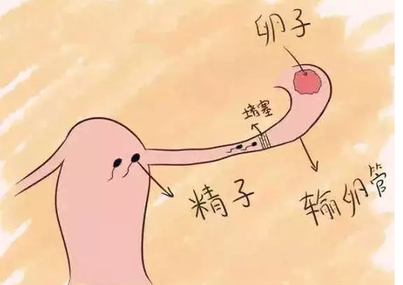 重慶送子鳥(niǎo)醫(yī)院