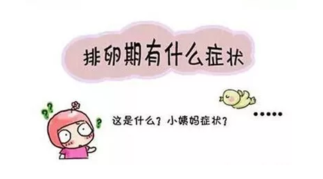 重慶送子鳥醫(yī)院