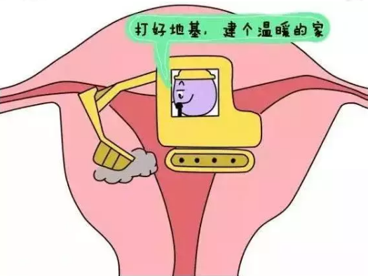 重慶送子鳥醫(yī)院