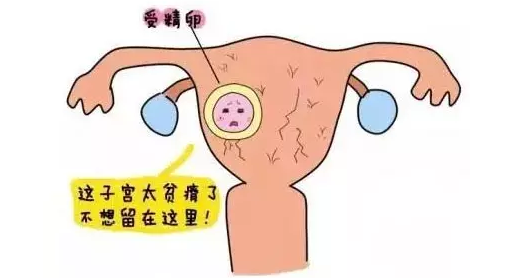 重慶送子鳥醫(yī)院