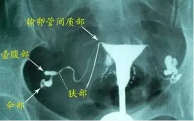 重慶送子鳥醫(yī)院