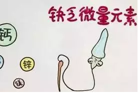 重慶送子鳥醫(yī)院