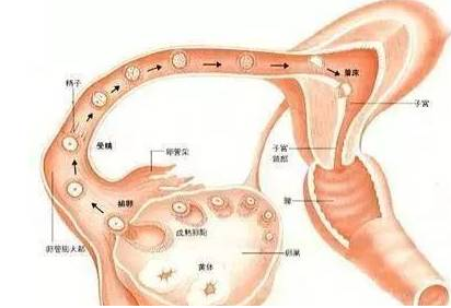 重慶送子鳥醫院
