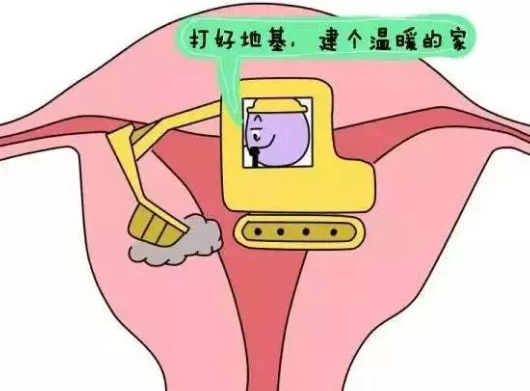 重慶送子鳥(niǎo)醫(yī)院