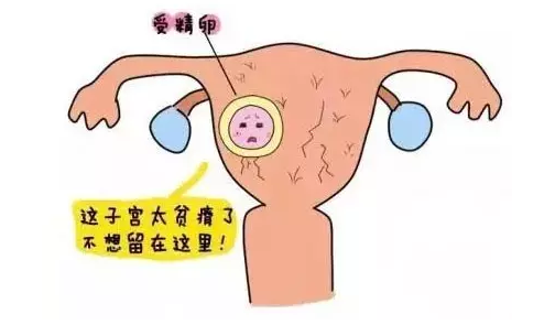 重慶送子鳥(niǎo)醫(yī)院
