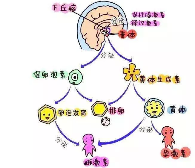 重慶送子鳥醫院