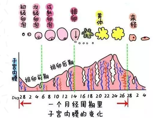 重慶送子鳥醫院