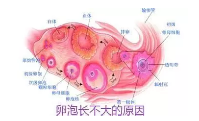 重慶送子鳥醫院