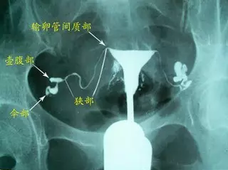 重慶送子鳥醫(yī)院