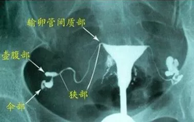 重慶送子鳥醫院